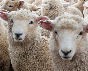 Imitation—the Antithesis of Justice