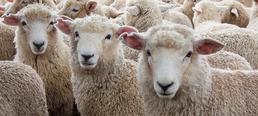 Imitation—the Antithesis of Justice