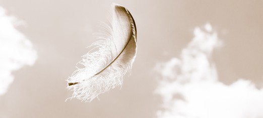 Overcoming Fear: A Feather on the Breeze of God’s Will