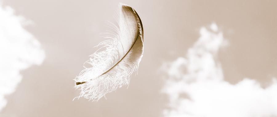 Overcoming Fear: A Feather on the Breeze of God’s Will