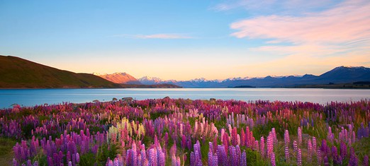 Signs of God’s Beauty in the Natural World