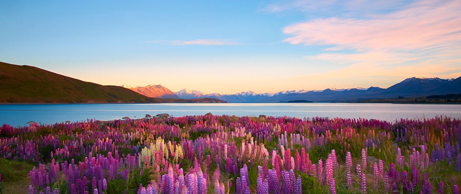 Signs of God’s Beauty in the Natural World