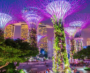 Achieving Harmony between Society and the Natural World