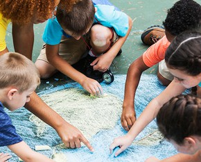 Building a Global Culture of Learning