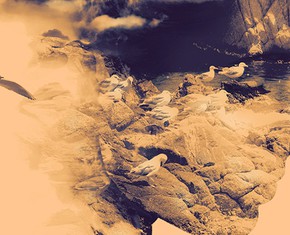 Detaching from the Physical Reality