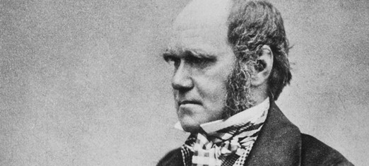 Did Darwin Discover Divinity?