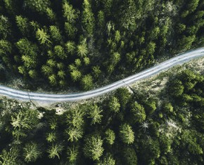 Pathways to the Recognition of Our Oneness
