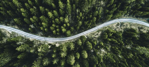 Pathways to the Recognition of Our Oneness