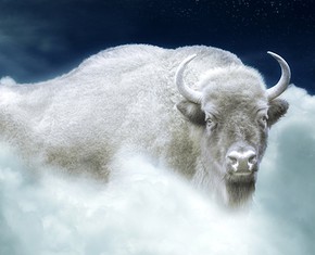 White Buffalo Calf Woman: Messenger of God