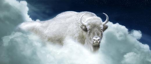 White Buffalo Calf Woman: Messenger of God