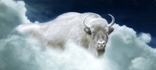 White Buffalo Calf Woman: Messenger of God