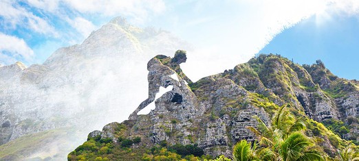 Why Is Our Physical Experience Necessary?