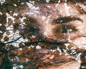 When We Die: the Dissociation of Soul and Body