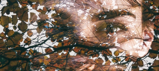 When We Die: the Dissociation of Soul and Body