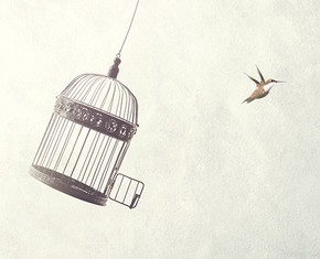 Unpacking Liberty and Democracy