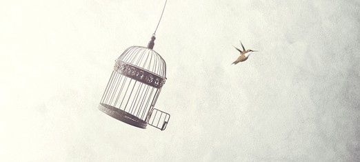 Unpacking Liberty and Democracy