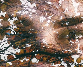 When We Die: the Dissociation of Soul and Body