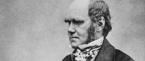 ¿Acaso Darwin descubrió la divinidad?