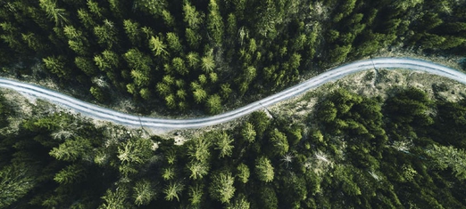 Vías hacia el reconocimiento de nuestra unidad