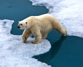 Climate Change: A Chiefly Spiritual Challenge