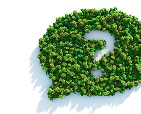 Generando consulta sobre el cambio climático en tu comunidad