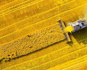 How the Information Age Affects Our Food