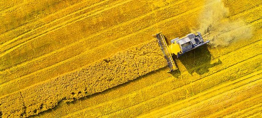 How the Information Age Affects Our Food
