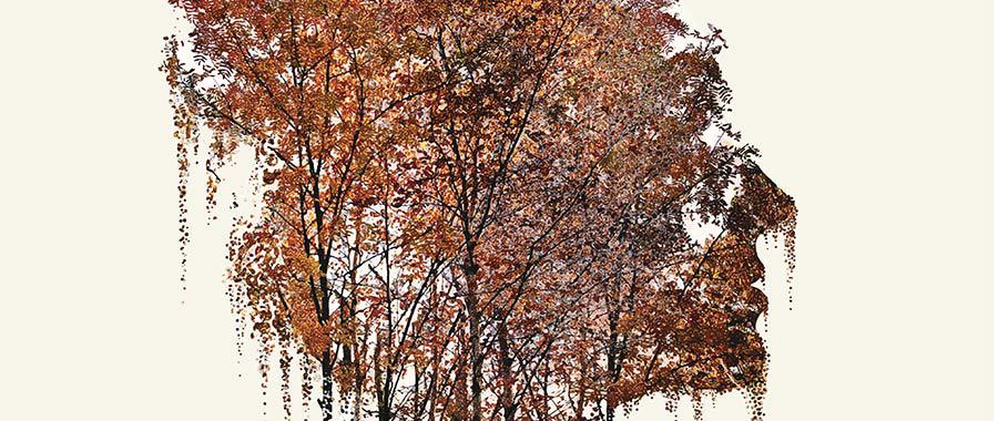 Overcoming Nature Deficit Disorder