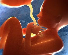 Preparándonos para nuestro nacimiento en el siguiente mundo