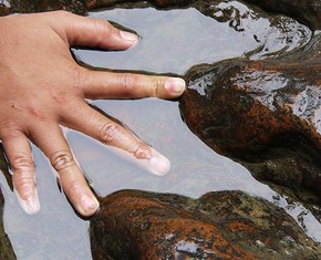 ¿Se pueden extinguir los seres humanos?