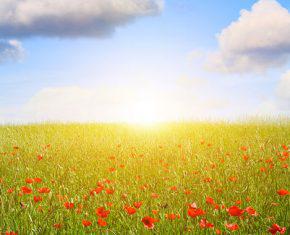 Turning Banishment into Bounty: the Twelfth Day of Ridvan