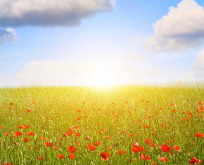 Turning Banishment into Bounty: the Twelfth Day of Ridvan