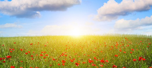 Turning Banishment into Bounty: the Twelfth Day of Ridvan