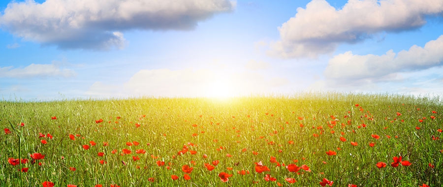 Turning Banishment into Bounty: the Twelfth Day of Ridvan