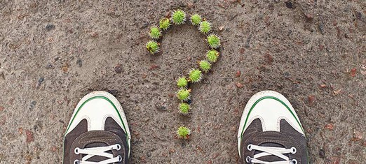 Who Controls Our Destinies?