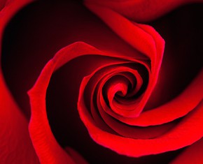 Poetry: From the Heart, and For the Heart