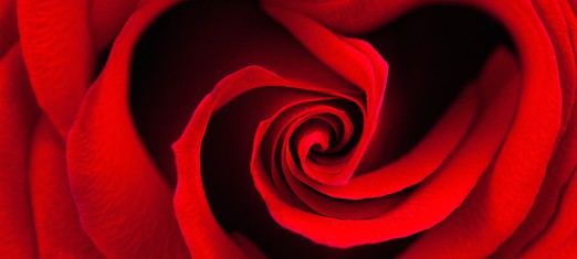 Poetry: From the Heart, and For the Heart