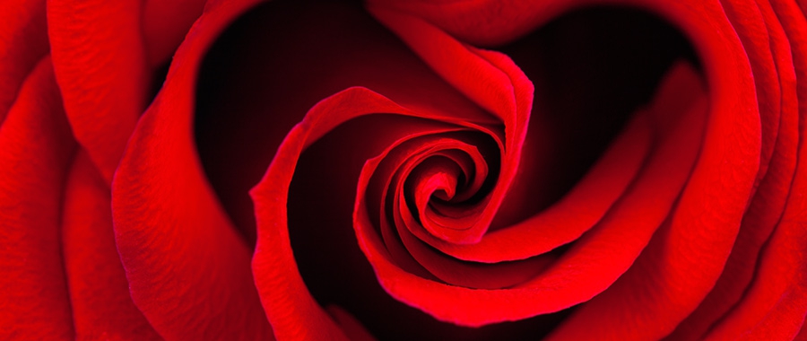 Poetry: From the Heart, and For the Heart