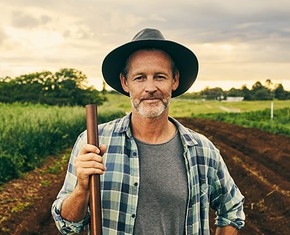 Seeking Insights into the Nature of The Rational Soul