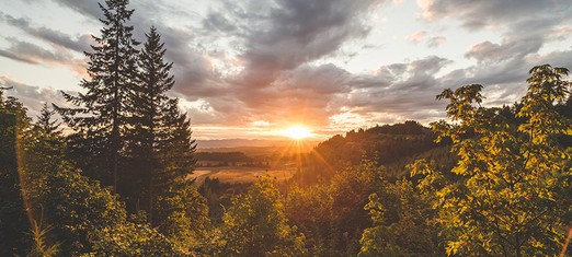 We Live in an Age of Miracles