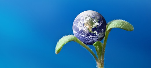 What Will the New World Order Look Like?