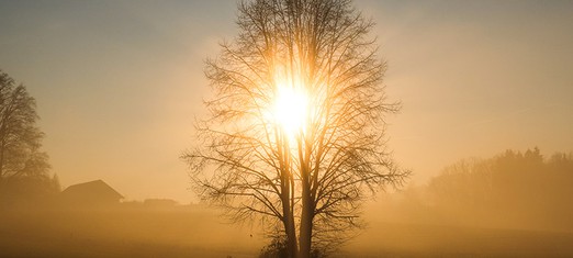 When Religion Degenerates, a New Faith Appears