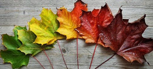 Why Religion Needs Renewal