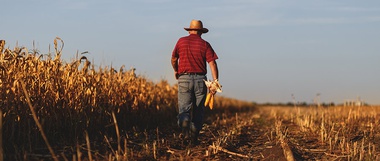 Thanks for the Food—Gratitude for Farmers