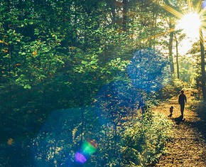 Walking the Path Toward World Unity