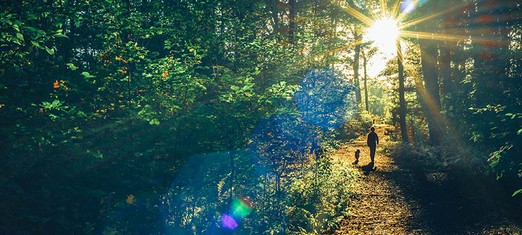 Walking the Path Toward World Unity