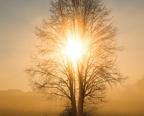 Cuando la religión se degenera, una nueva fe aparece