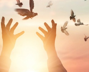 Las Manifestaciones de Dios