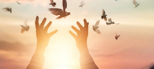 Las Manifestaciones de Dios