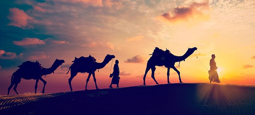 Siguiendo los pasos de los indígenas